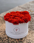 Special Edition Liberdade - The Florist