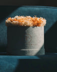 Glamorous Everlasting Orange - The Florist