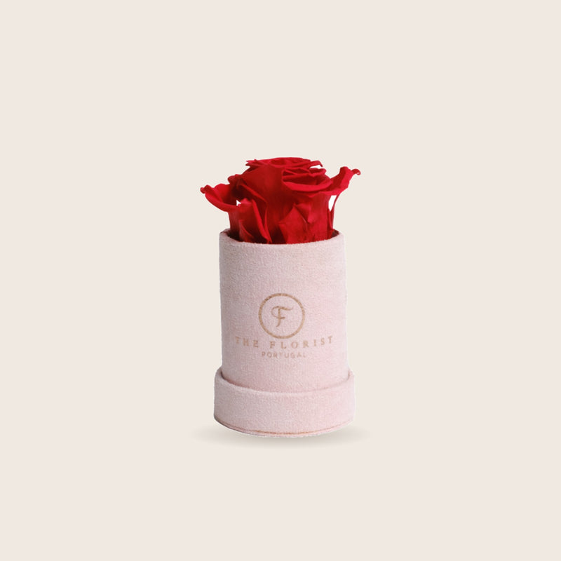 Single Rose