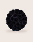 Glamorous Black Roses