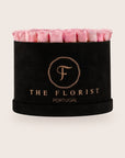 Luxurious Pink Roses