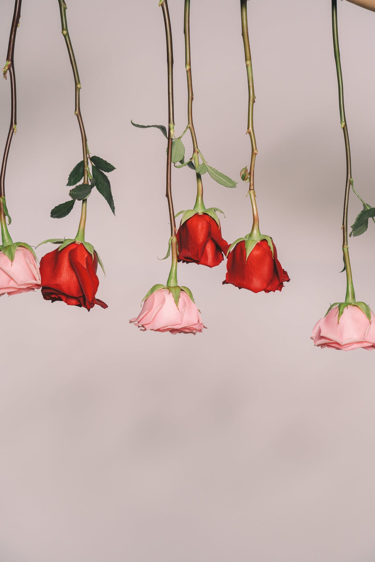 Rosas brancas ? Rosas vermelhas ? Qual é a cor da mulher da sua vida ?
