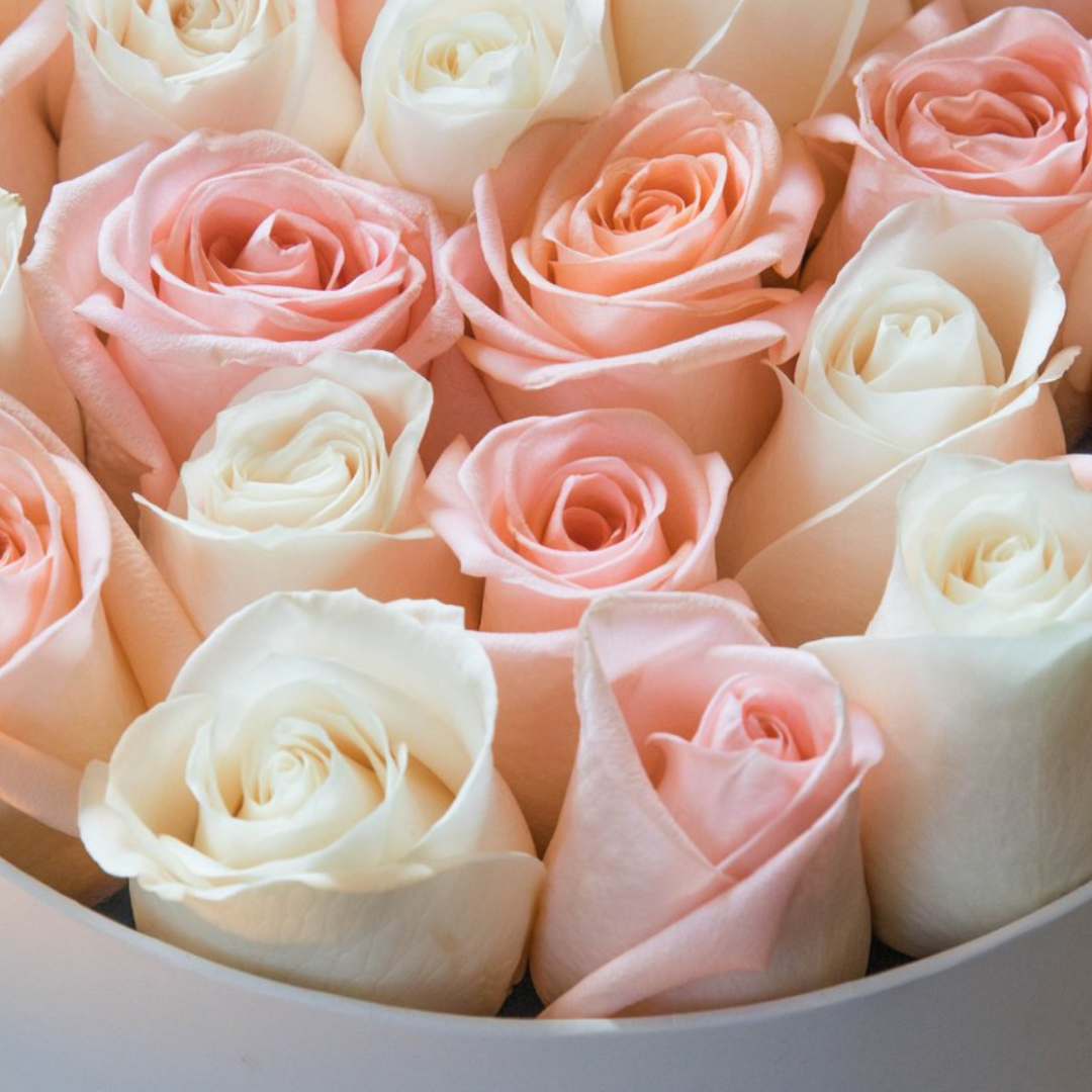 Dicas de Conservação das Rosas