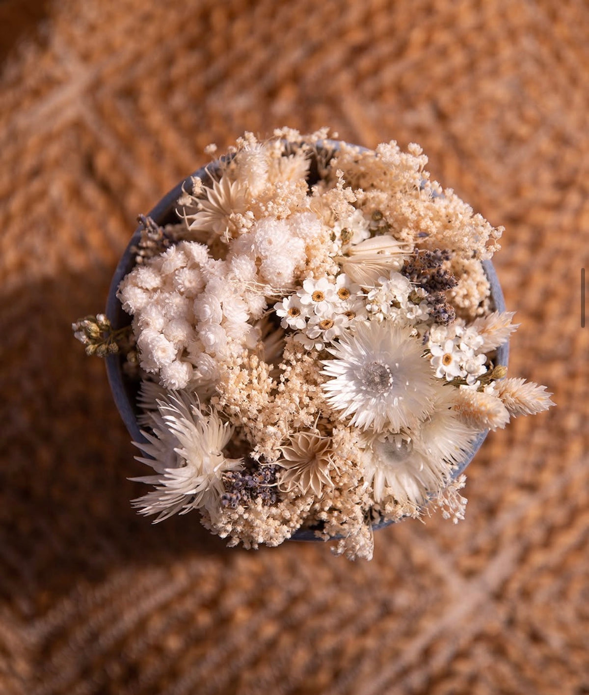 Simplicity Everlasting Beige - The Florist