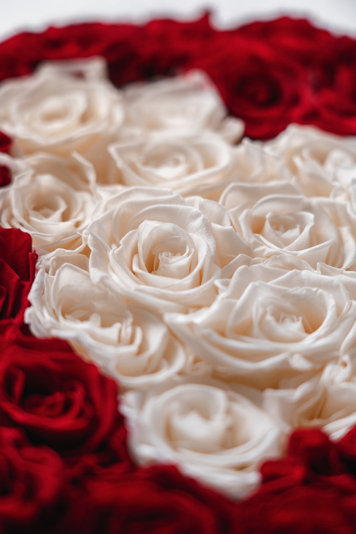 Detalhe de rosas brancas e vermelhas The Florist