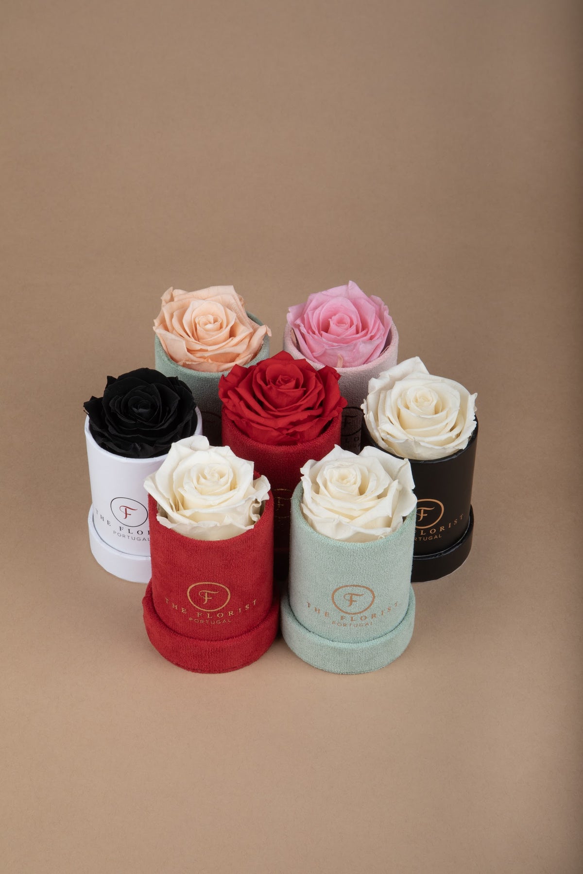 Single Rose Preserved - The Florist