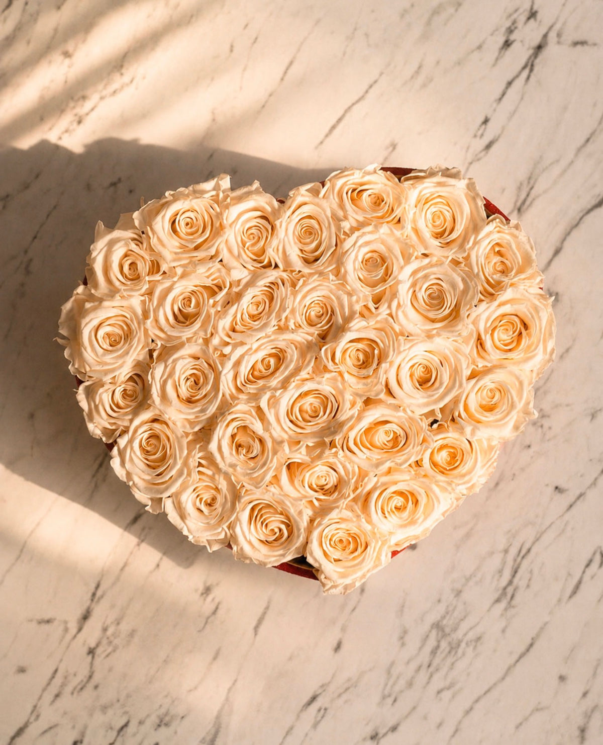 Passion White - The Florist