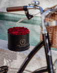 Glamorous Red - The Florist