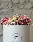 Special Edition Vivaz - The Florist