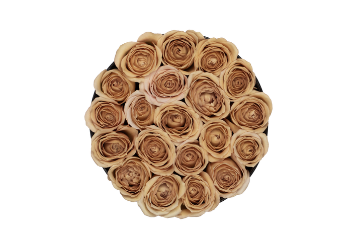 Special Editon Fall - The Florist Portugal - Florista Online 24/7