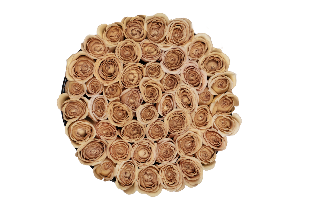 Special Editon Fall - The Florist Portugal - Florista Online 24/7