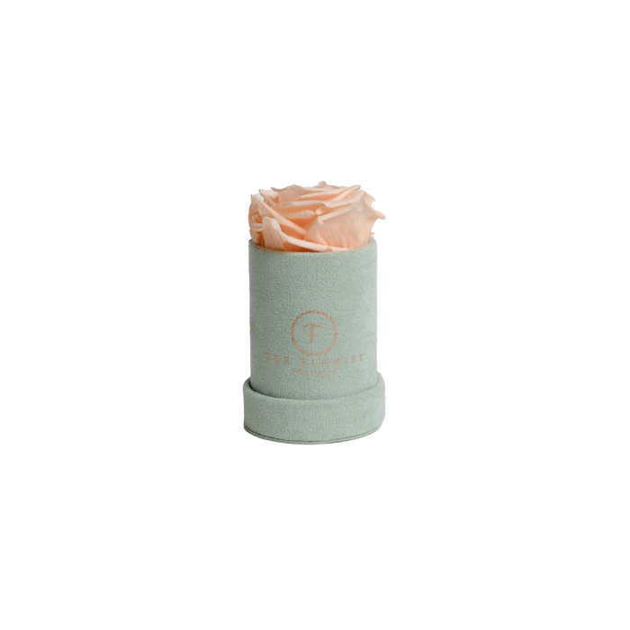 Single Rose Preserved Salmon - The Florist Portugal - Florista Online 24/7