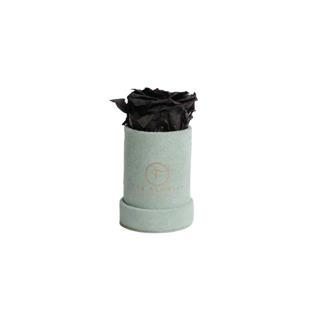 Single Rose Preserved Black - The Florist Portugal - Florista Online 24/7