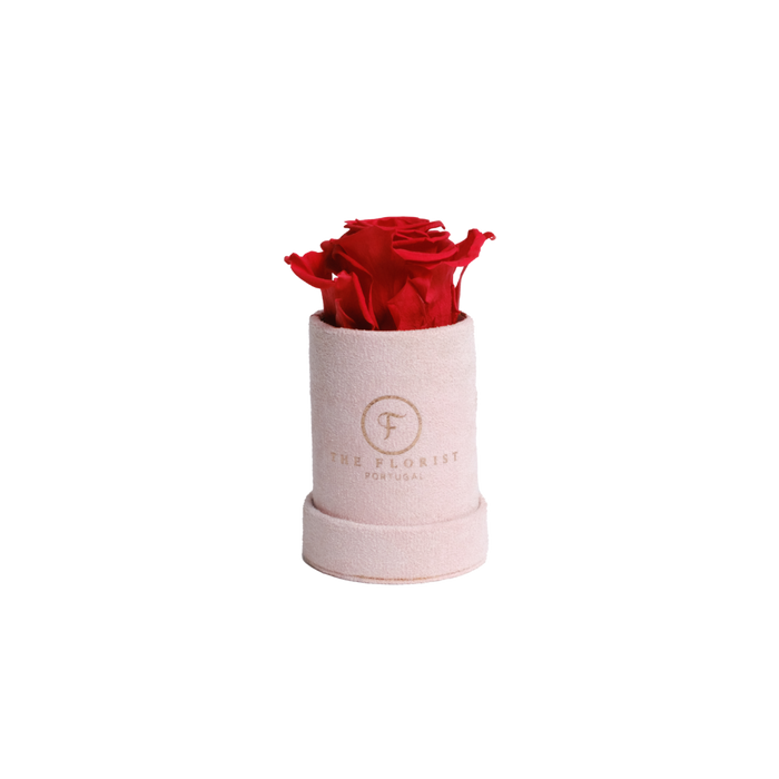 Single Rose Preserved Red - The Florist Portugal - Florista Online 24/7