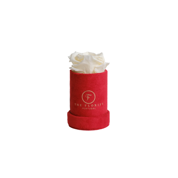 Single Rose Preserved White - The Florist Portugal - Florista Online 24/7