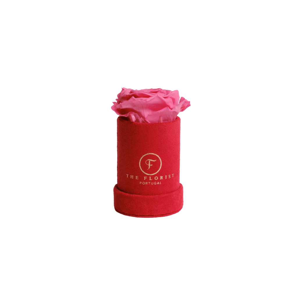 Single Rose Preserved Pink - The Florist Portugal - Florista Online 24/7