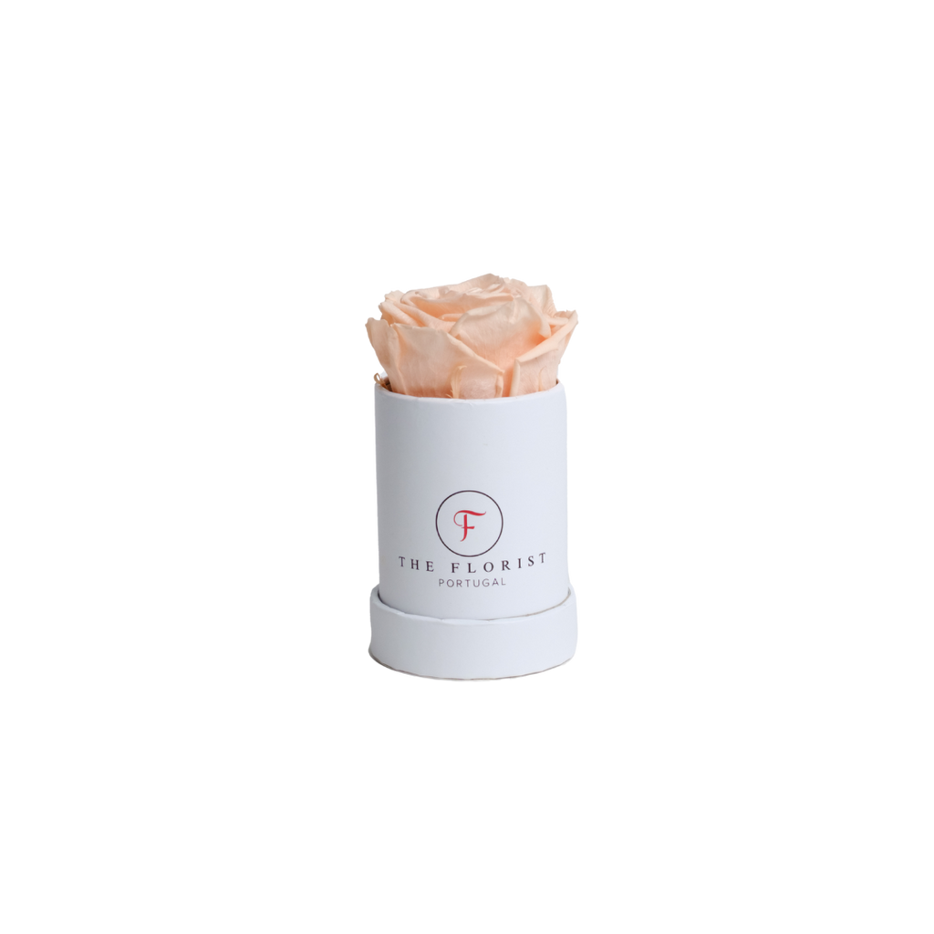 Single Rose Preserved Salmon - The Florist Portugal - Florista Online 24/7