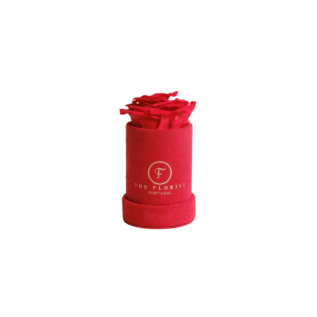 Single Rose Preserved Red - The Florist Portugal - Florista Online 24/7