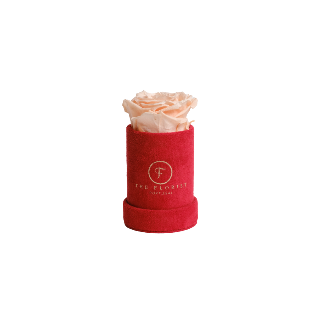 Single Rose Preserved Salmon - The Florist Portugal - Florista Online 24/7
