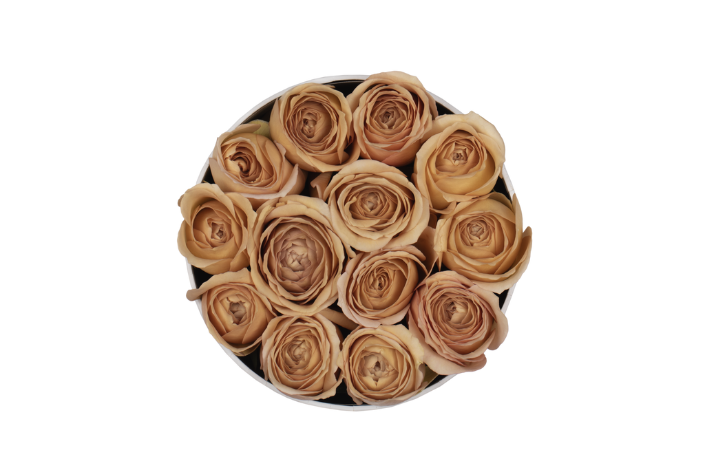 Special Editon Fall - The Florist Portugal - Florista Online 24/7