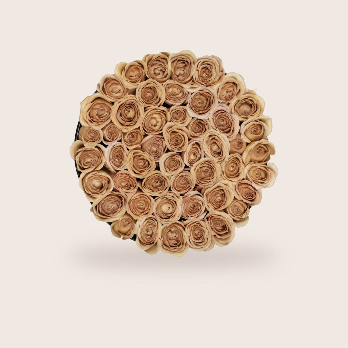Special Edition Fall, rosas nude, Luxurious vista de cima