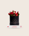 The Florist Portugal