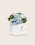 The Florist Portugal