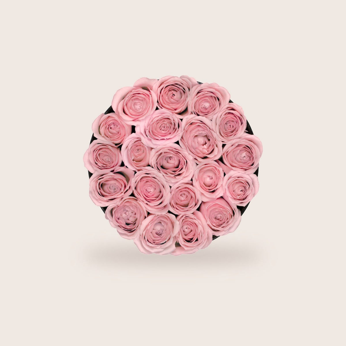 Glamorous Pink Roses