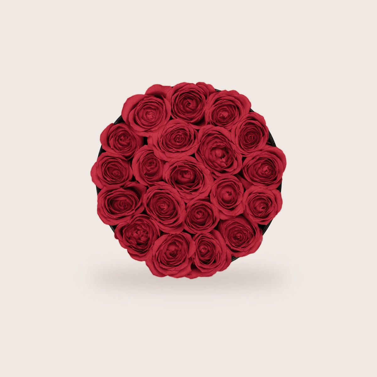 Glamorous Red Roses