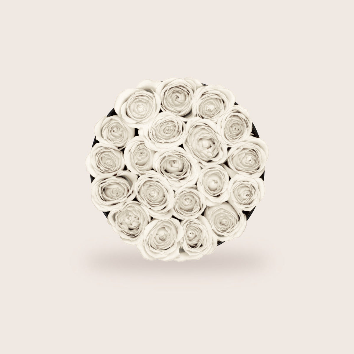 Glamorous White Roses