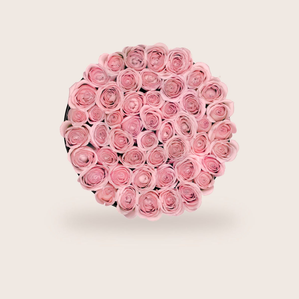 Luxurious Pink Roses