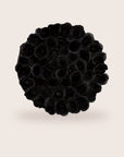 Luxurious Preserved Black Roses
