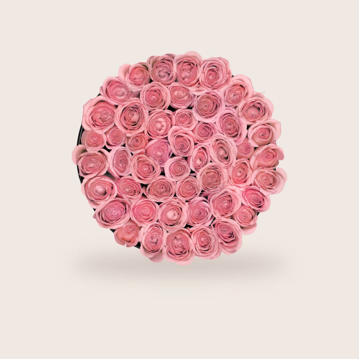Luxurious Preserved Pink Roses