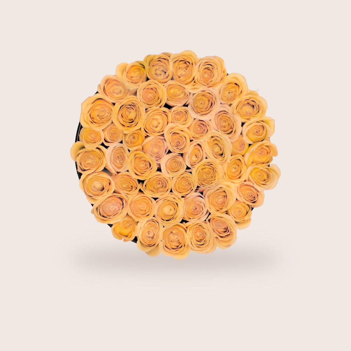 Luxurious Preserved Salmon Roses