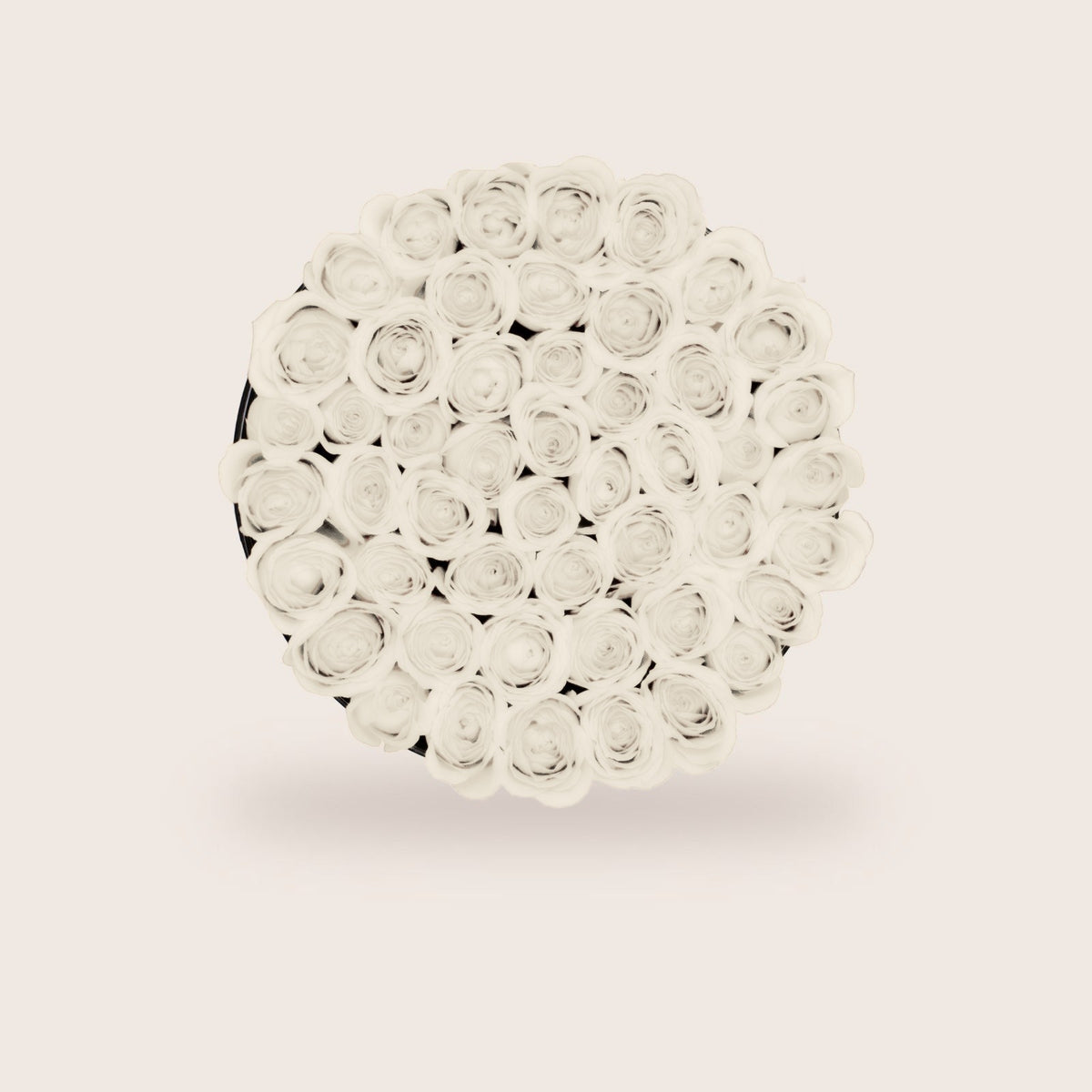Luxurious Preserved White Roses