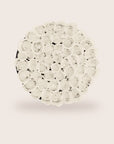 Luxurious Preserved White Roses