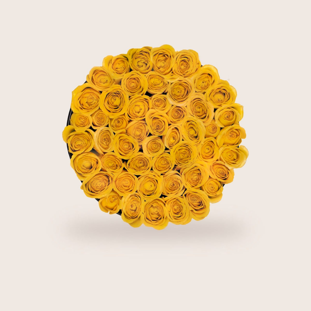 Luxurious Preserved Yellow Roses