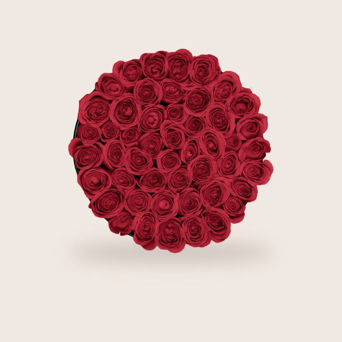 Luxurious Red Roses