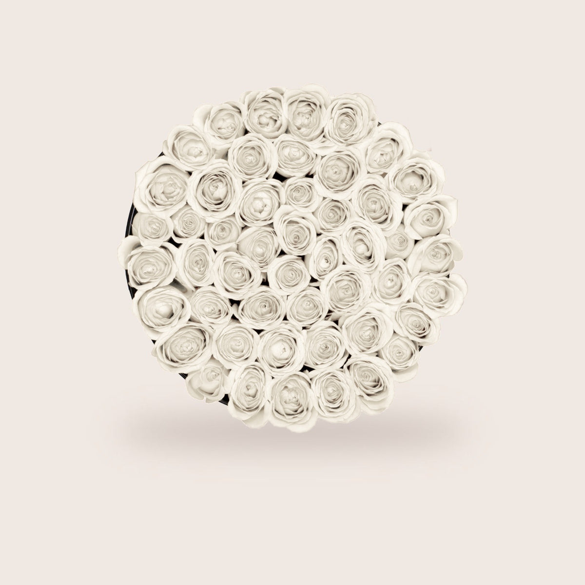 Luxurious White Roses