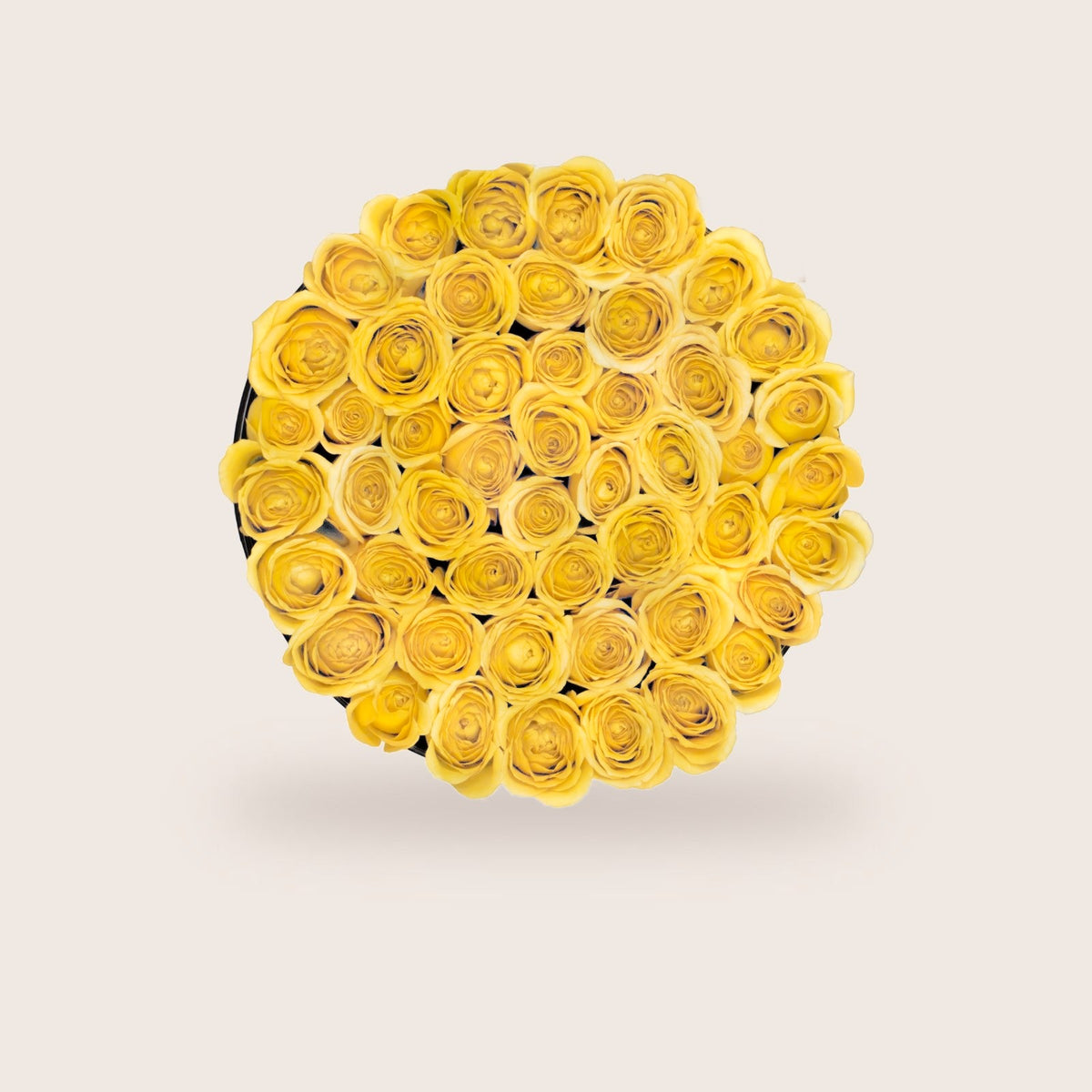 Luxurious Yellow Roses