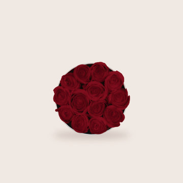 Rosas Preservadas