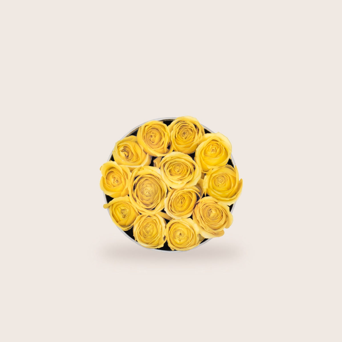 Simplicity Yellow Roses