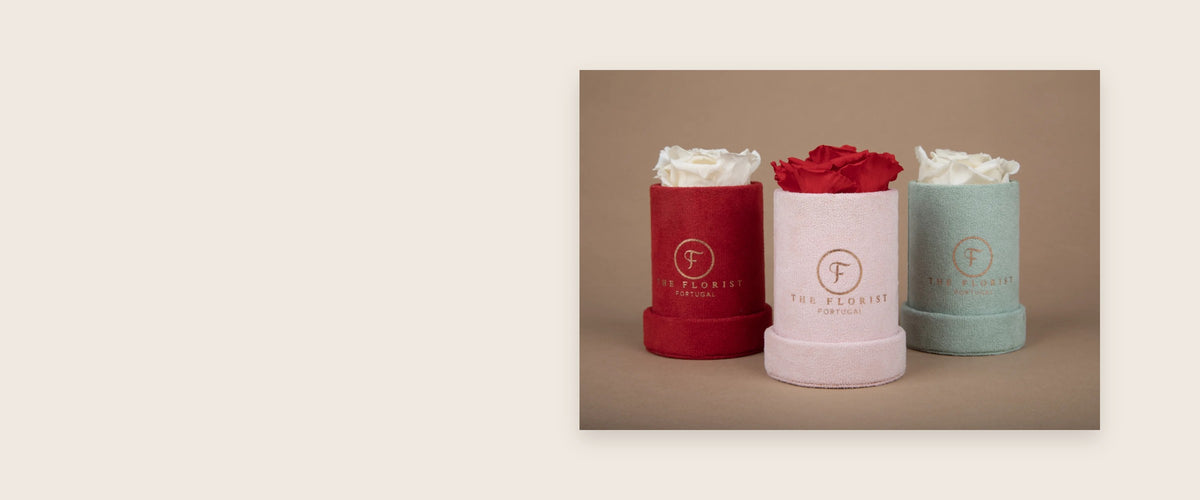 Single Rose The Florist em três cores