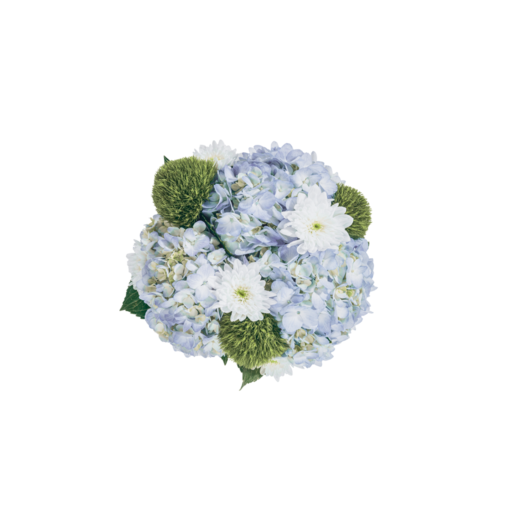 Special Edition Summer - The Florist Portugal - Florista Online 24/7